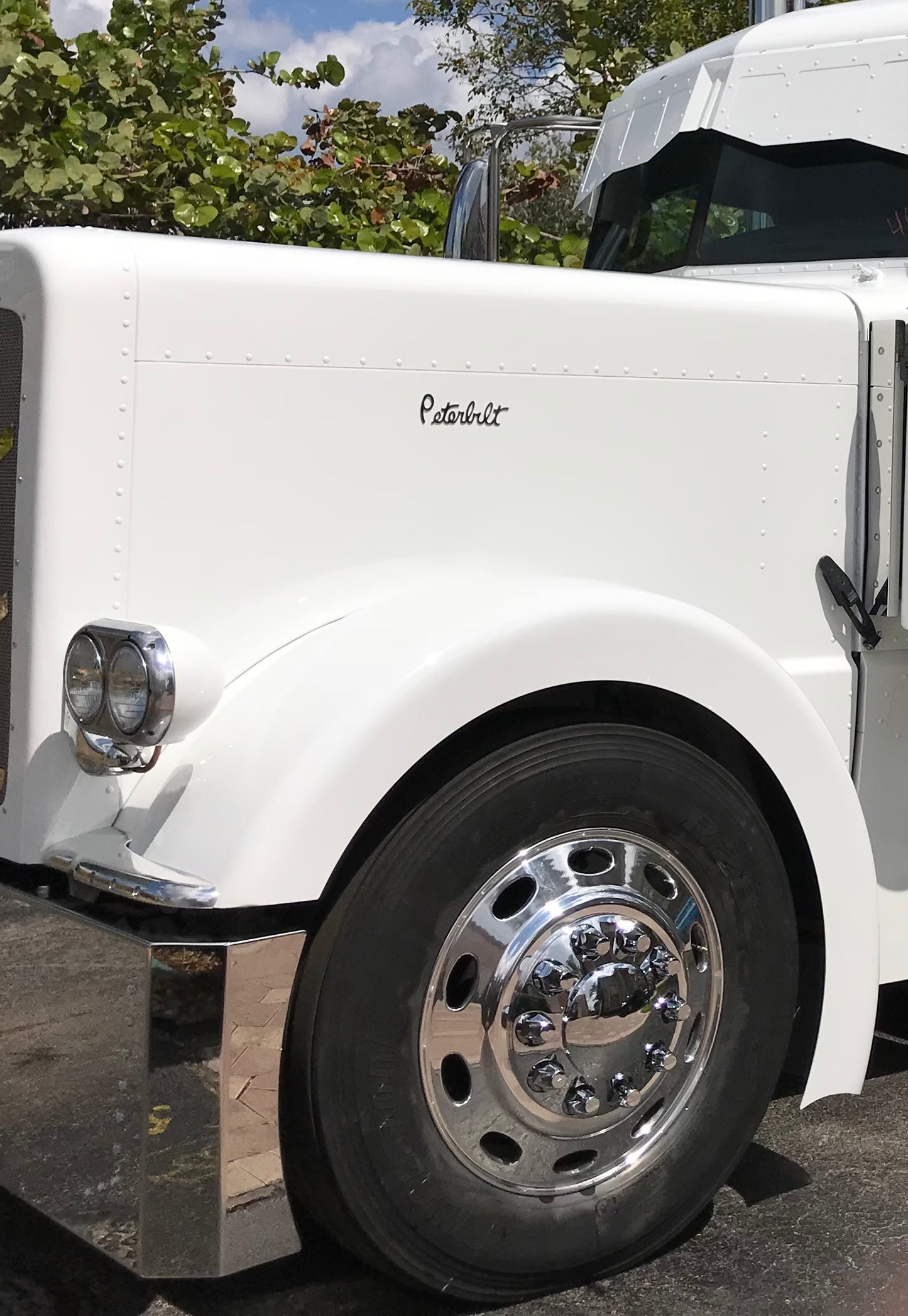 Parachoques universal liso Peterbilt de 20" con protector de neumáticos y caja de matrícula