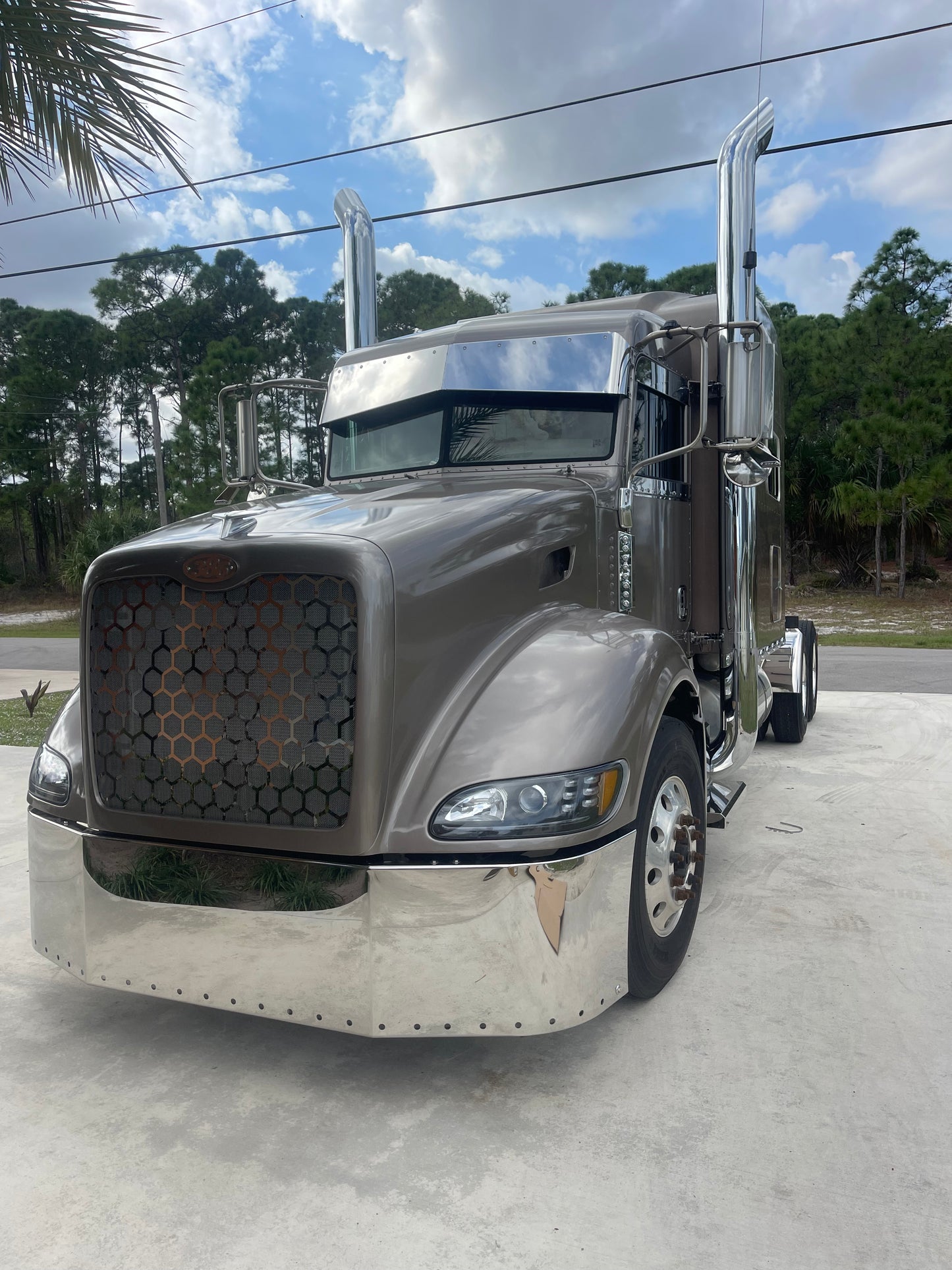 Rejilla hexagonal de acero inoxidable calibre 14 para Peterbilt 386