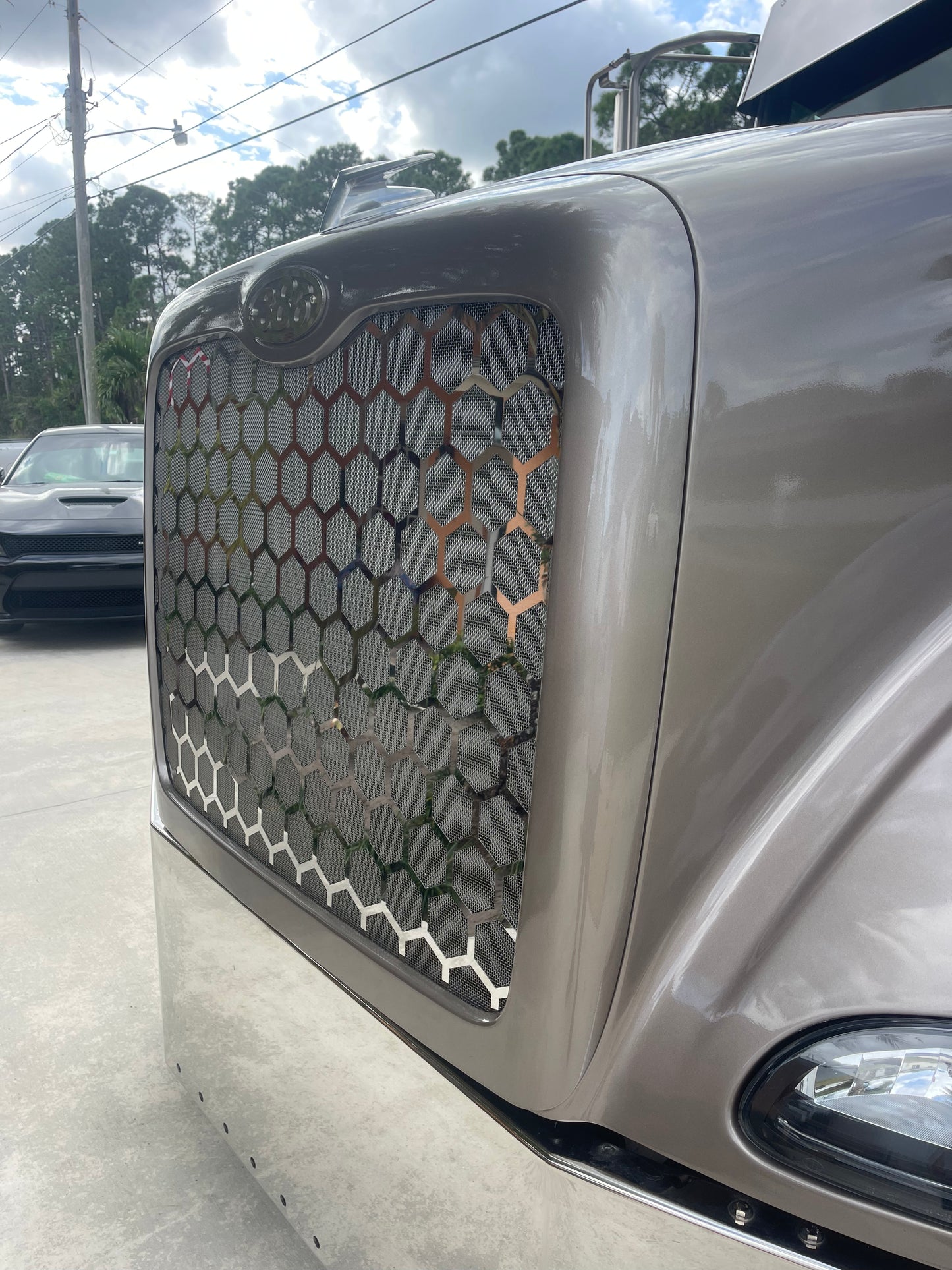 Rejilla hexagonal de acero inoxidable calibre 14 para Peterbilt 386