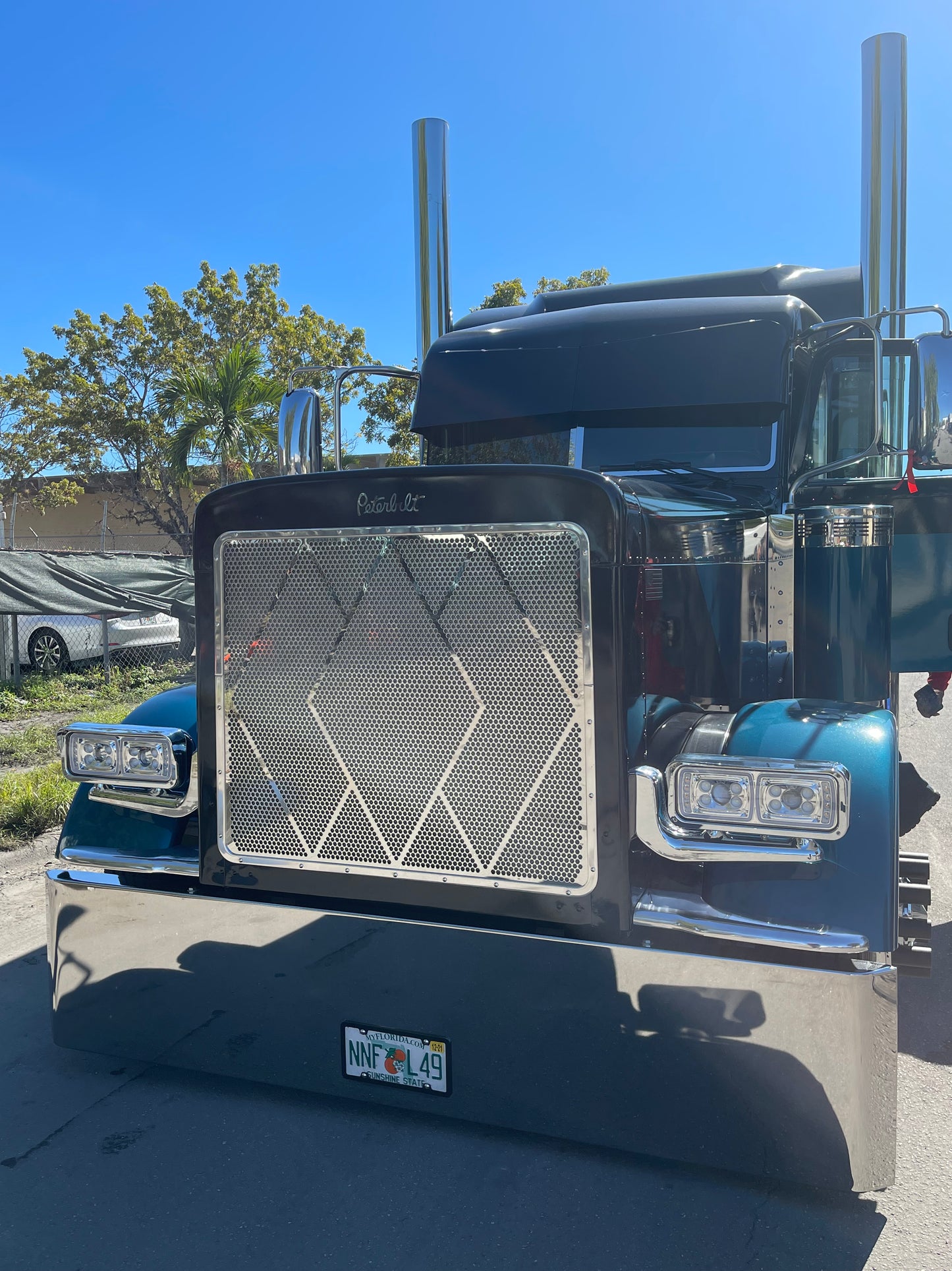 TEAL 379 PETERBILT