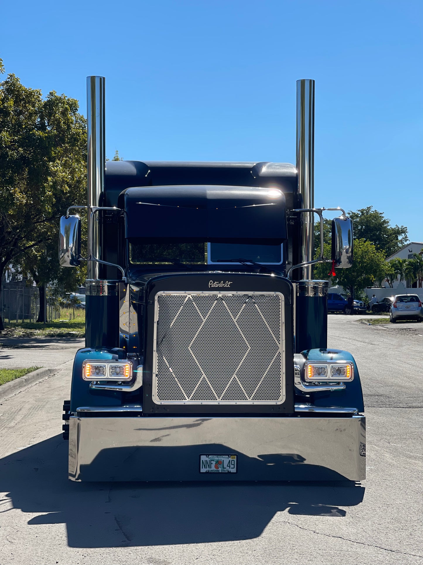 TEAL 379 PETERBILT